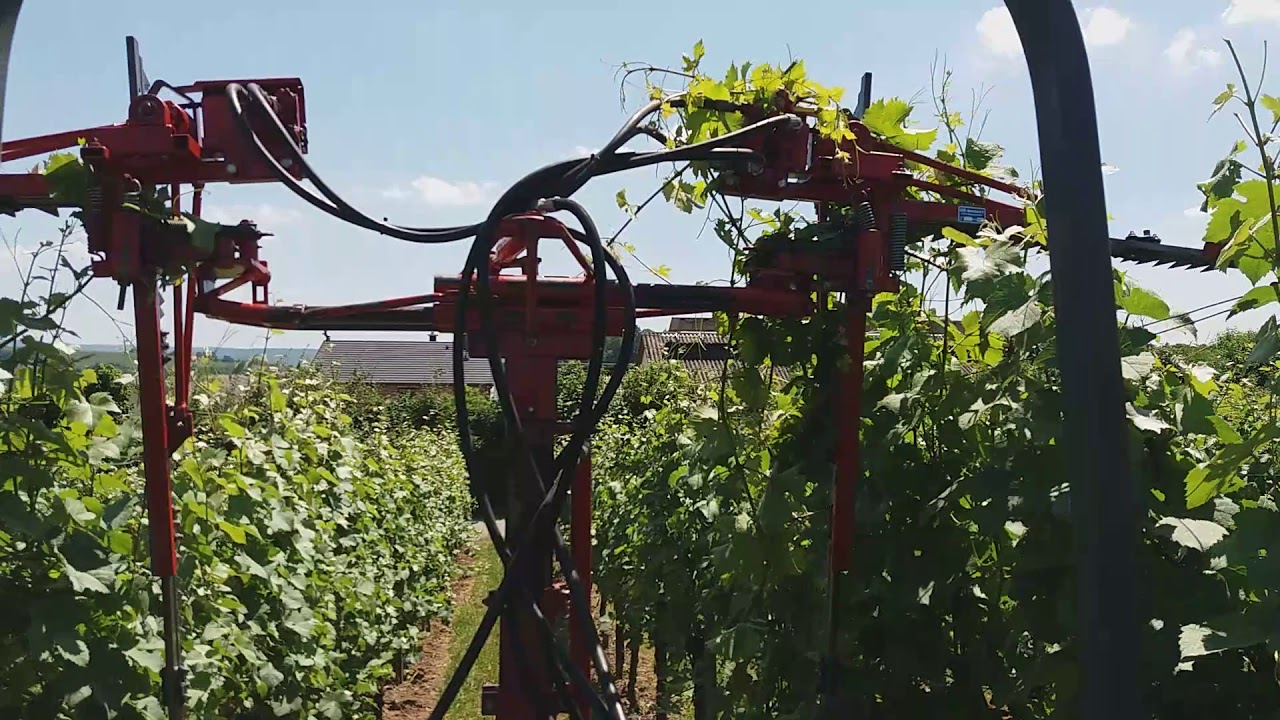 Laubschneiden 2019 1ter schnitt