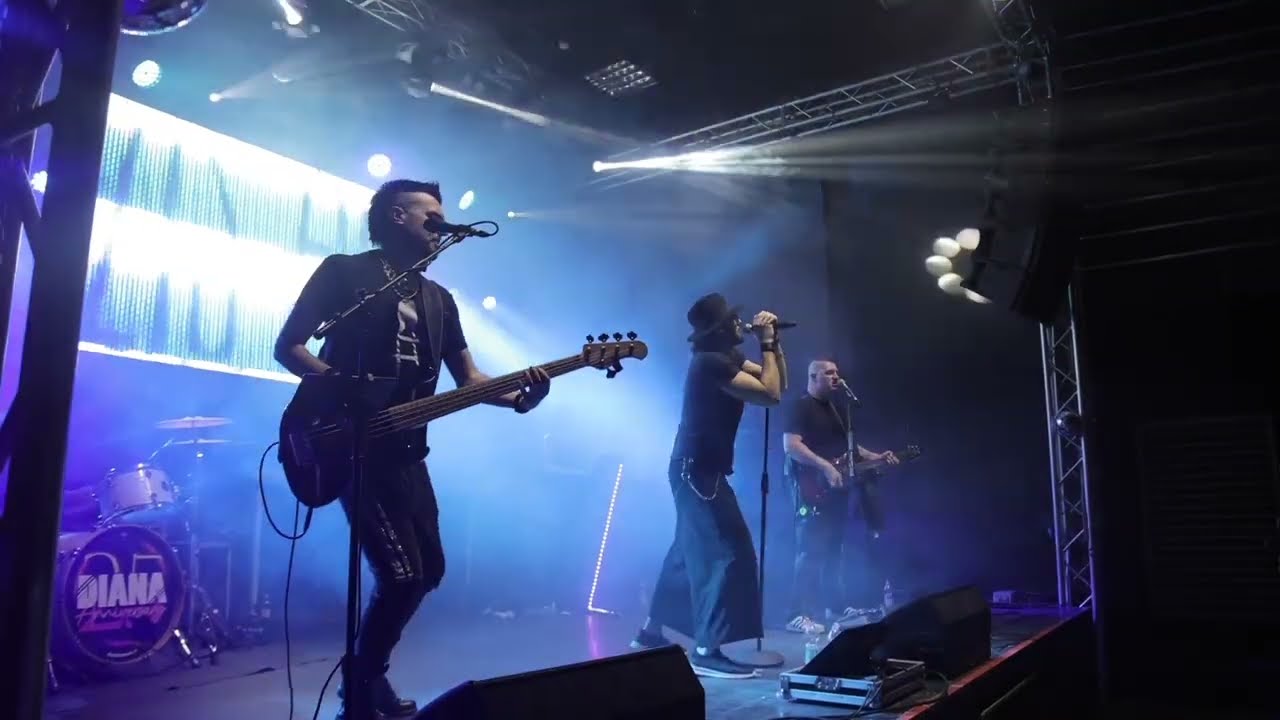 DIANA international party band