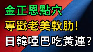 北約直搗三八線！金正恩一招「點穴」專戳美國軟肋，韓國急轉彎！僅140公里威懾，卻撕下美日韓同盟遮羞布？