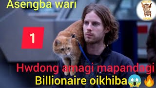 A Street cat named Bob Explanation/ Manipuri Survival Story/Manipuri viral videos 😱🔥🔥🔥