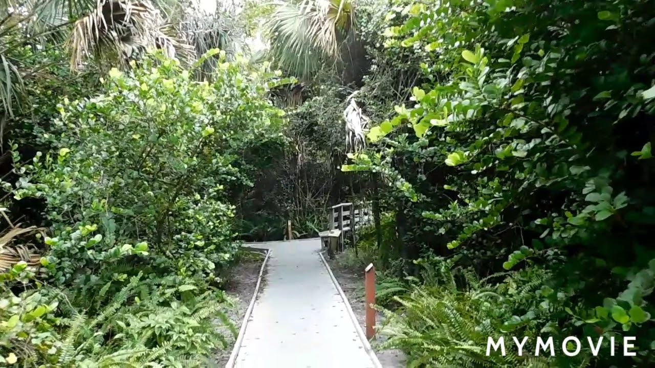 Secret Woods Nature Center, Dania Beach FL.