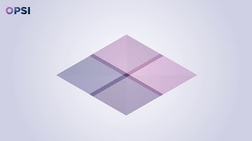 OPSI Innovation Facets Model