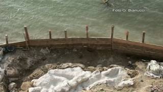 Balena Giuliana, il più grande fossile al mondo scoperto a Matera: appello per liberarla