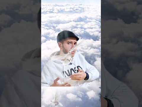 لقطة من السماء مع الطيور الجميلة