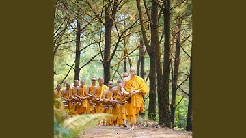 Liên khúc ca ngợi công đức xuất gia - Bài 1