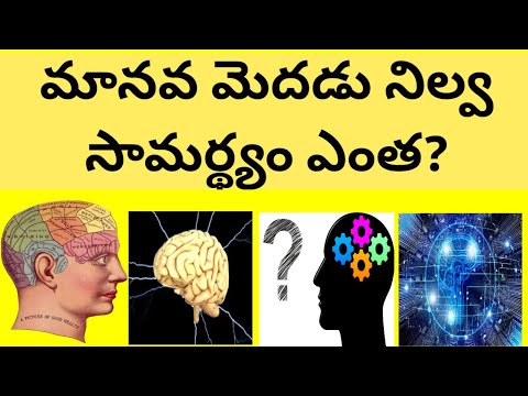 What is the storage capacity of brain||Human brain storage capacity ||Human brain ||Brain ||Orbit