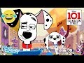 101 Dalmatian Street | Dancing - Animals vs Humans | Disney Channel UK