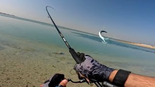 Dubai Fishing Spot : Garfish Catch&Release screenshot 1