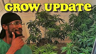 Grow Update For The Month Of February