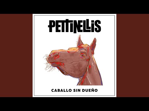 Caballo sin dueño