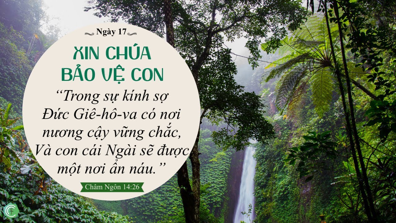 Ngày 17/31 - XIN CHÚA BẢO VỆ CON - Trích "Năng lực trong lời cầu nguyện của người nữ" episode artwork