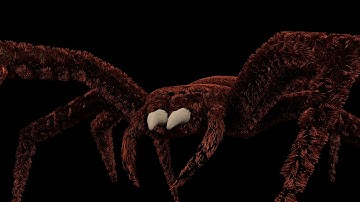 Spider animation CGI. Walk Cycle