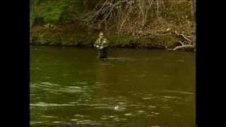 Make Bead Head Flies for Fly Fishermen or Maybe Fishing Lure Jewelry? / The Beading  Gem