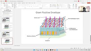 Video Assignment Module 1B