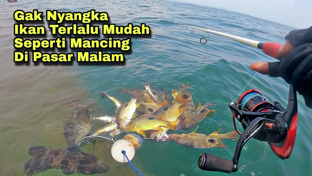 Gak Nyangka Bangat !!! Saking Mudahnya Dapat Ikan, Seperti Mancing Di Pasar Malam