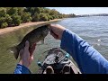 I kayak fished this big river below a hydro dam for anything