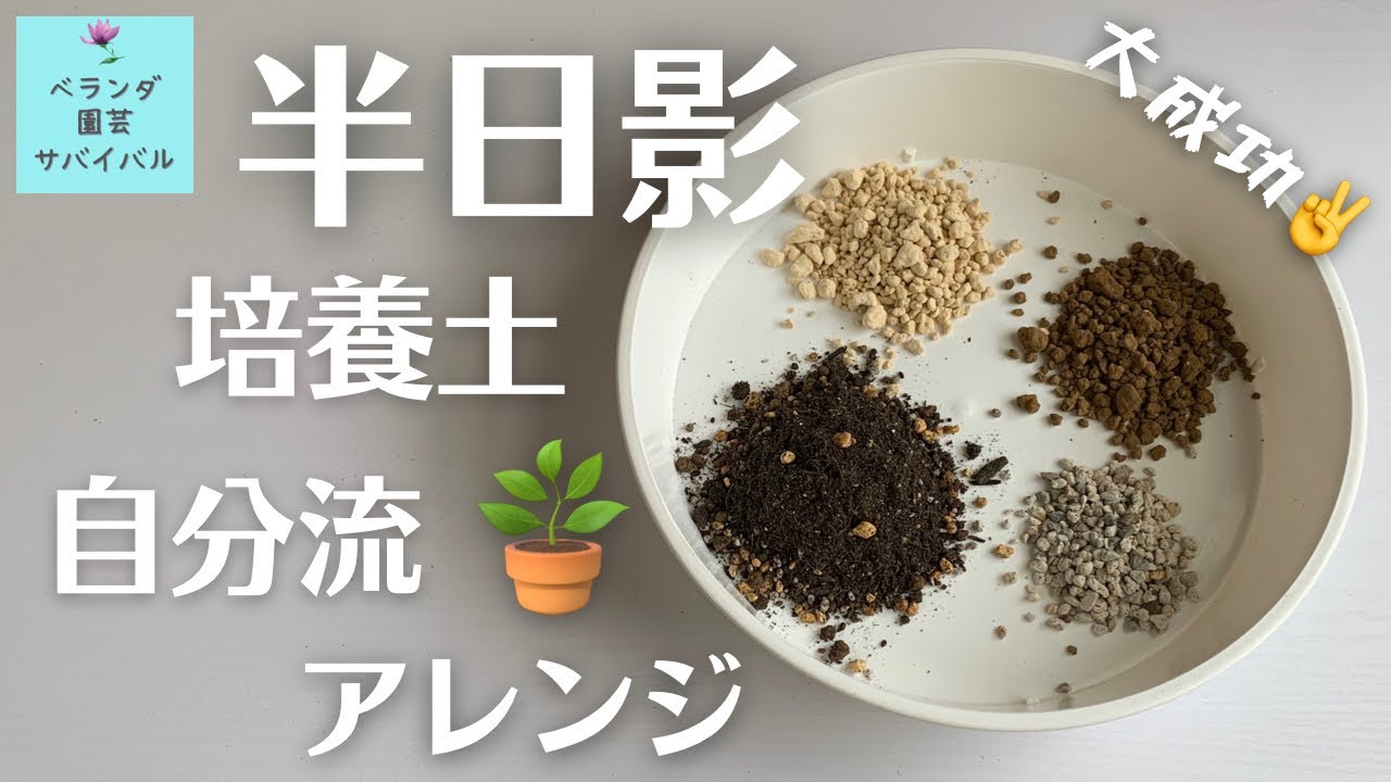 ベランダガーデニング 半日陰向き用土の実験結果 手作り培養土 半日陰 10 ベランダガーデニング 半日陰 培養土の作り方 Youtube
