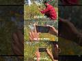 Mi 11 x pro 4k video test - Amazing pro mode features #xiaomi #shorts