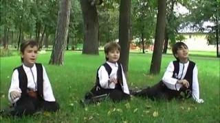 Trupa Muguri - Tatal Meu A Fost Haiduc