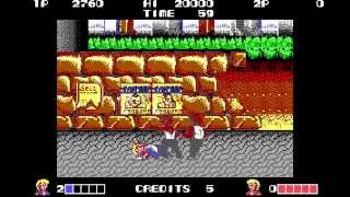 Double Dragon PC   1988