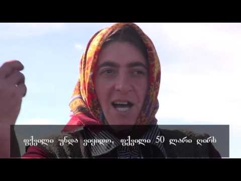 ქალები რეგიონიდან - ნარინე გინოსიანი