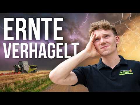 Harvest Start with Hailstorm | Aborted due to Storm | KlaasmitK