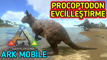 PROCOPTODON EVCİLLEŞTİRME - PROCOPTODON NASIL EVCİLLEŞTİRİLİR - (Ark Mobile Türkçe)