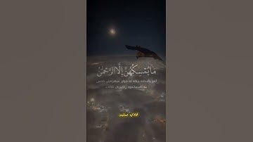 #سورة_الملك #ألم يروا إلى الطير فوقهم #قران_كريم #ماهر_المعيقلي #كرومات_قران