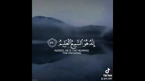 حالات واتس اب سورة الشعراء اسلام صبحي