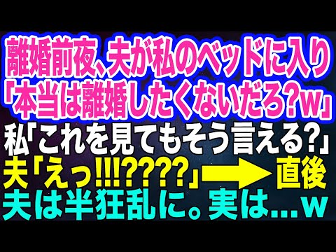 【スカッとする話】離婚前夜、夫が私のベッドに入ってきて「お前だって本当は離婚したくないだろ？」私「これを見てもそう言える？」夫「えっ？」→直後、半狂乱になった夫。実は…ｗ