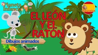 Ejercicio lavar Amperio EL LEON Y EL RATON Cuentos Cortos Infantiles Fabula - YouTube