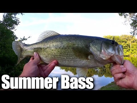 Catching Big Bass on Poppers - Cheap Fishing Lures VS. Name Brand