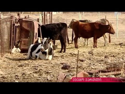 სოფელ მზიანეთის სკვერი