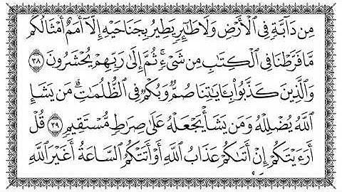 🔴 سورة الأنعام | تلاوة خاشعة مؤثرة | القرآن الكريم كامل 📖 بصوت جميل يريح القلب