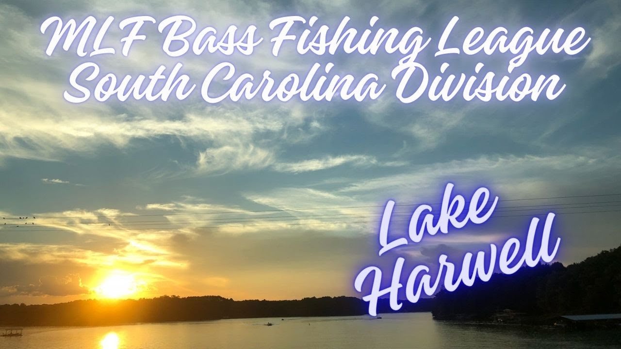 Crazy Ride! | Lake Hartwell #majorleaguefishing #bassfishing #blessed