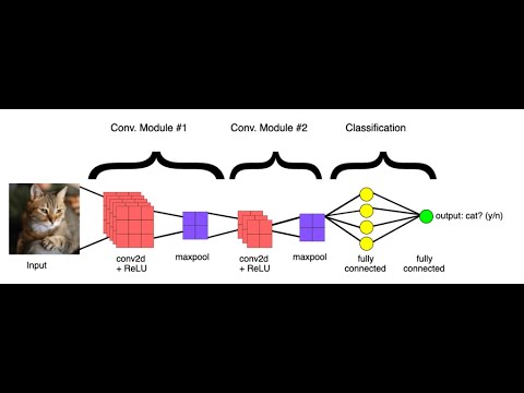 Image Classification using Transfer Learning In Deep Learning | VGG19 ...