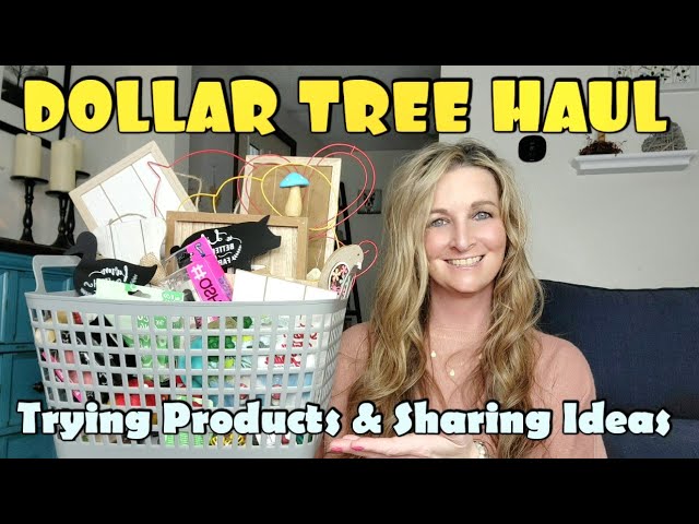 NEW DOLLAR TREE HAUL 🤑 5/12/23 NEW ITEMS 