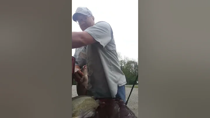 CATFISH KING OLNEY ILLINOIS AT EAST FORK LAKE  2022