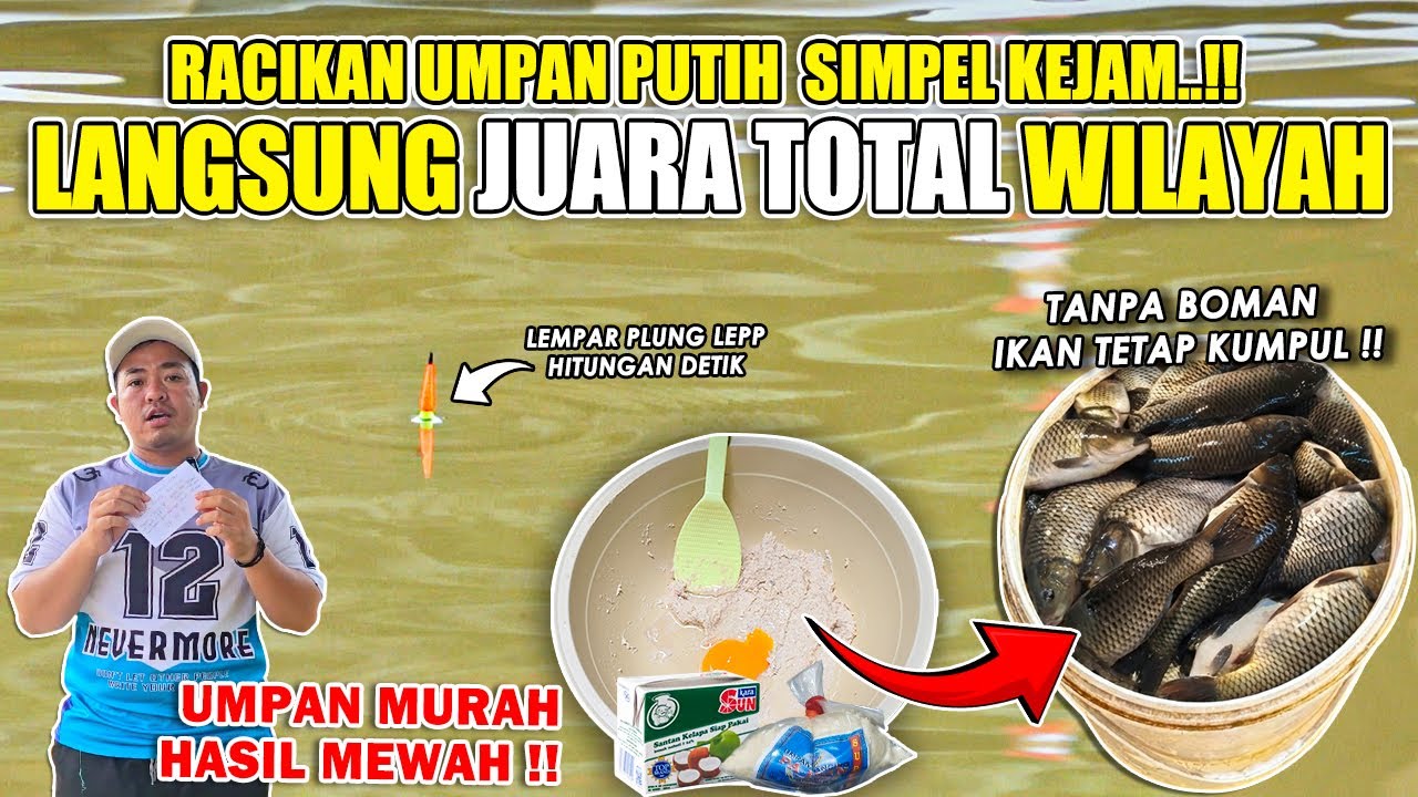 UMPAN MURAH HASIL MEWAH !! LANGSUNG JUARA TOTAL TERBANYAK !! RACIKAN JITU UMPAN PUTIH IKAN MAS ❗❗