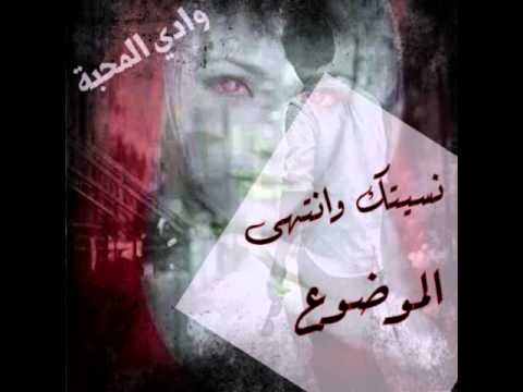 هيثم يوسف انساها