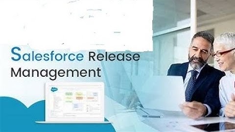Salesforce Release Manager Role