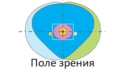 Одним глазом целиться или двумя