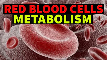 RED BLOOD CELLS - METABOLISM | Dr.Sonu Yadav | Pathology Kingdom | Haematology