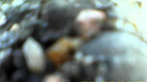 Trex 450 Sport V2 258 OBC Nose-in Take Off, Crash at Inverted Hover