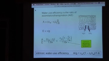 9 Jim Ehleringer rule 5