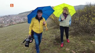 видео: Две фермерски истории, чиито герои сменят посоката, но никога не сменят целта - картинка: Две фермерски истории, чиито герои сменят посоката, но никога не сменят целта -