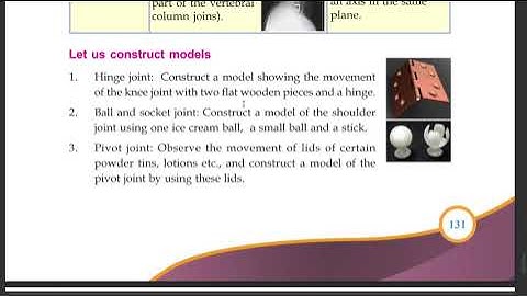 STD 6 BASIC SCIENCE CHAPTER 10 FOR SHAPE AND STRENGTH PAGE 131 TO 133 SCERT Kerala State Syllabus ,