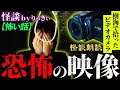 【怪談朗読byりっきぃ】命を絶った男が残したビデオカメラの映像がヤバすぎる件について・・・【樹海の怖い話】