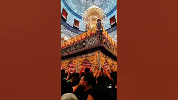 المريض ابابه يتعافى دخيل ابو فاضل حيدر البياتي سفرة إلى الله حالات واتس كربلاء تصوي Shorts 