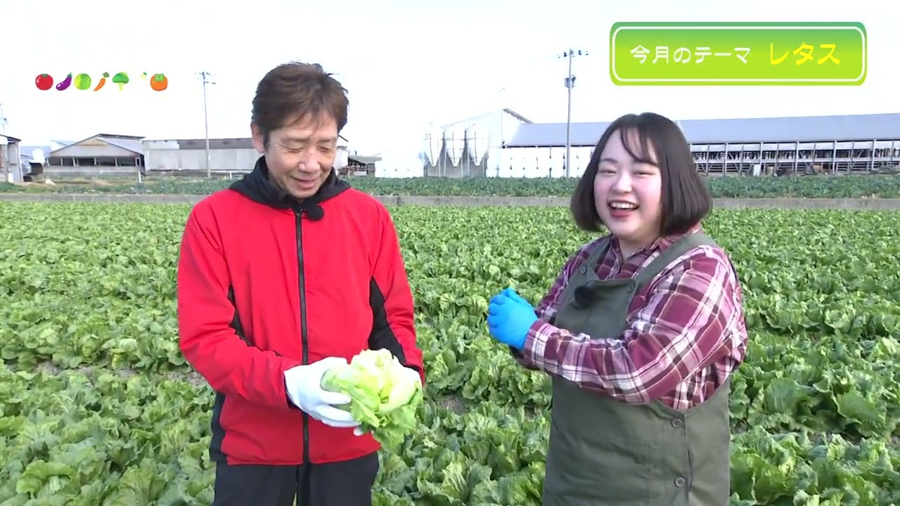 あぐり香川2026年1月放送大平やさい